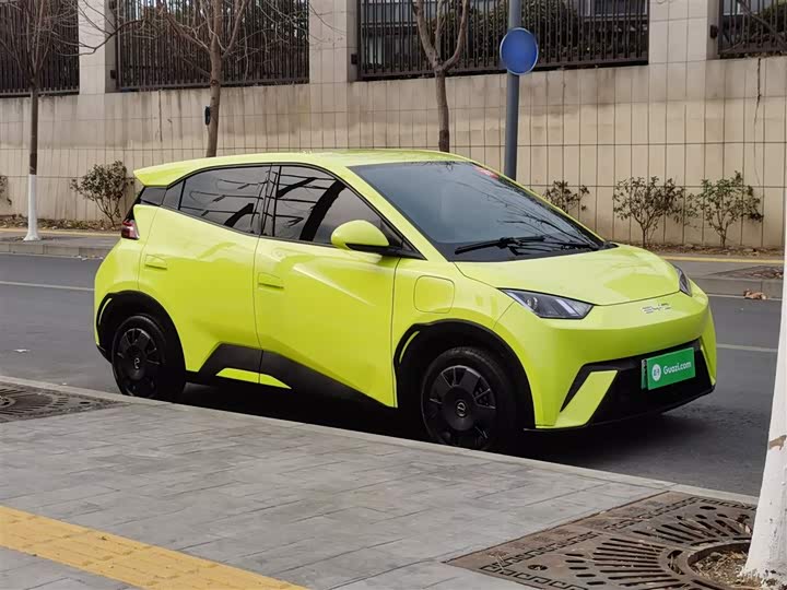 Фото 4 - BYD Seagull