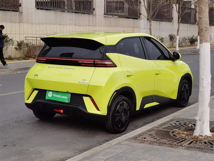 Фото 7 - BYD Seagull