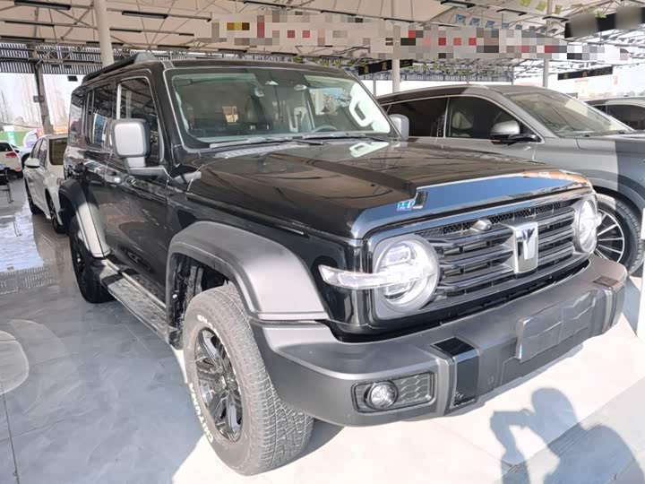 Фото 4 - Tank 300