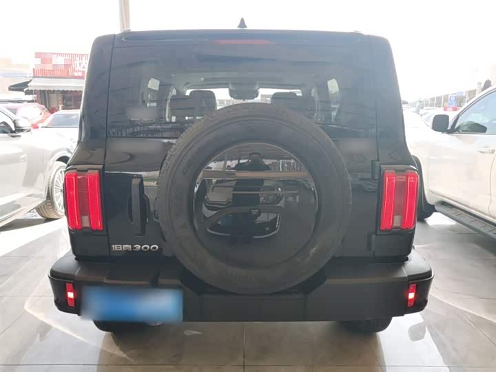 Фото 6 - Tank 300