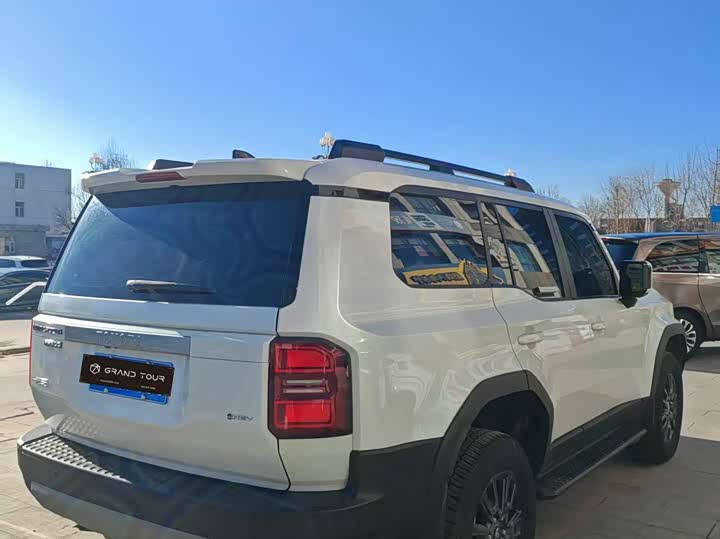 Фото 8 - Toyota Prado