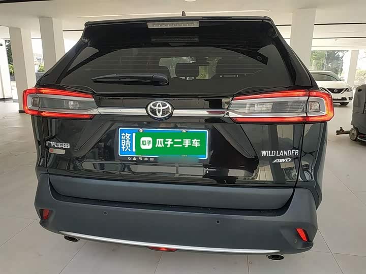 Фото 6 - Toyota Wildlander