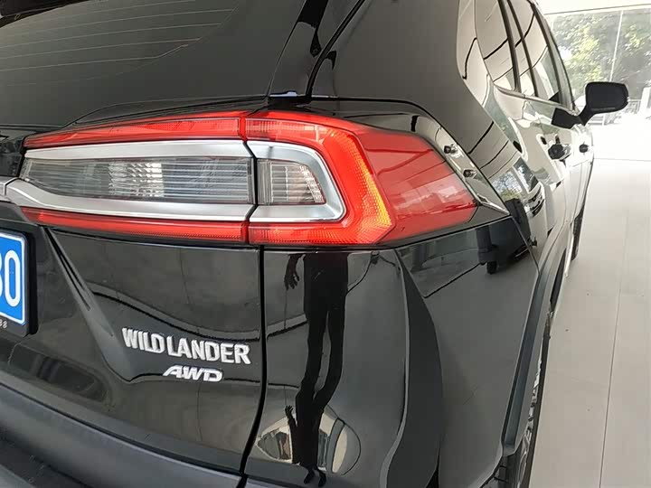 Фото 8 - Toyota Wildlander