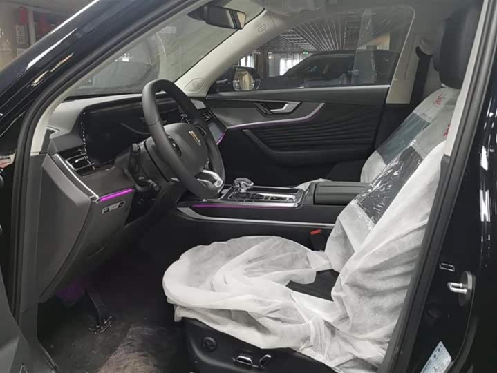 Фото 9 - Hongqi HS5