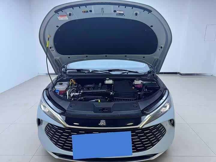 Фото 8 - BYD Qin L