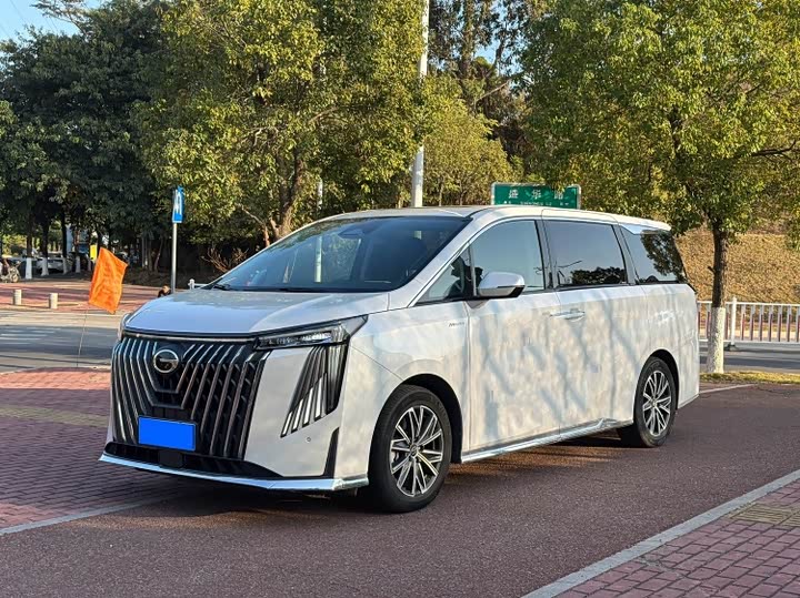 Фото 1 - GAC Trumpchi M8