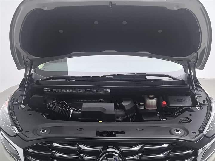 Фото 6 - Buick GL8 ES