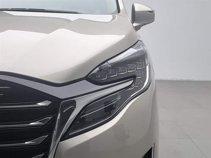 Фото 7 - Buick GL8 ES