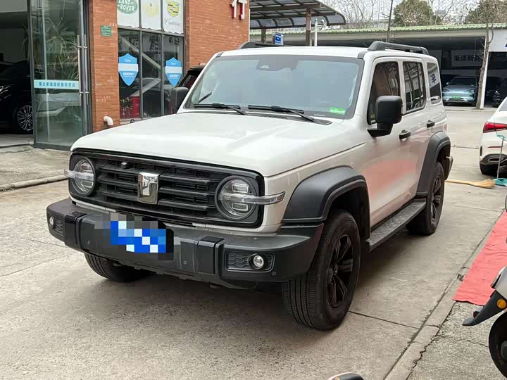 Фото 1 - Tank 300