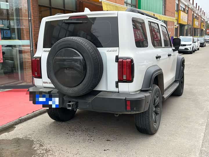 Фото 7 - Tank 300