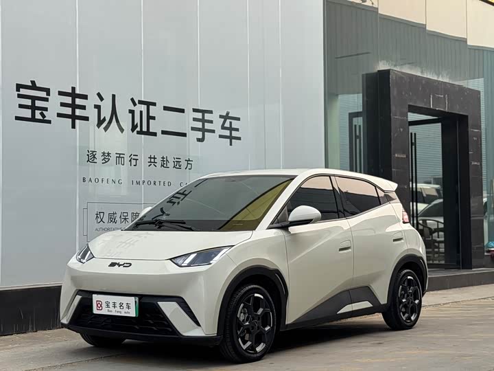 Фото 1 - BYD Seagull