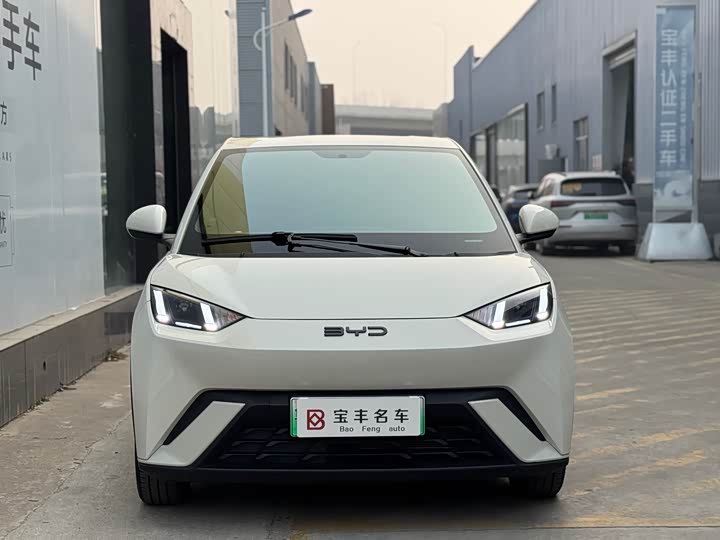 Фото 2 - BYD Seagull