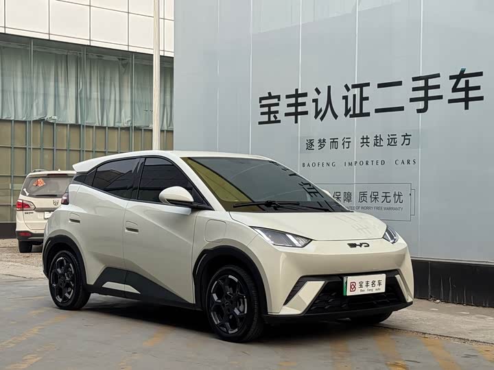 Фото 3 - BYD Seagull