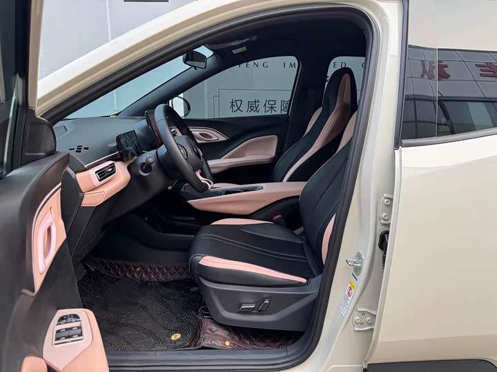 Фото 4 - BYD Seagull