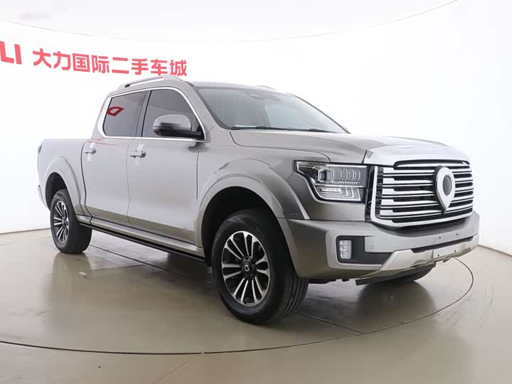 Фото 3 - Great Wall Shanhai Poer