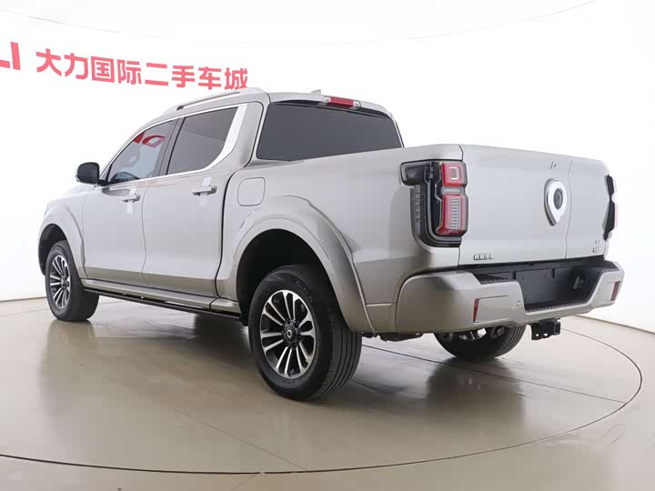 Фото 4 - Great Wall Shanhai Poer