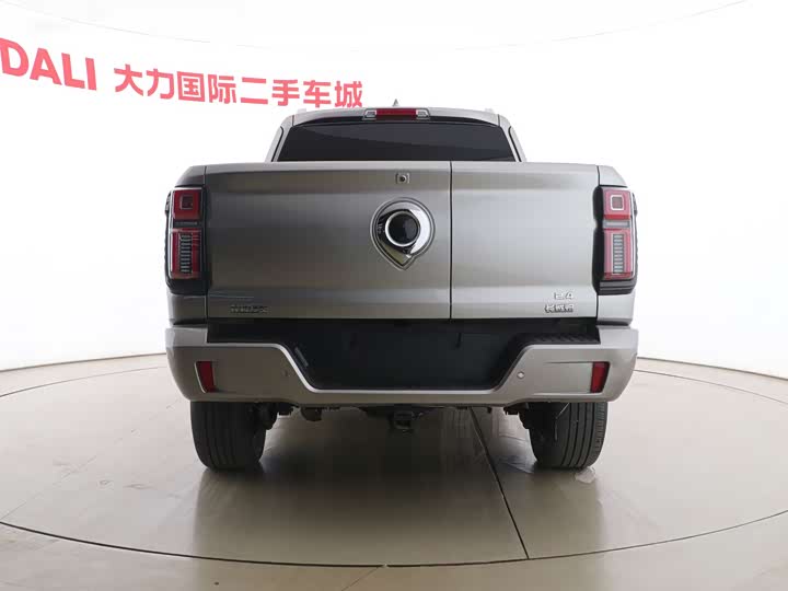 Фото 5 - Great Wall Shanhai Poer