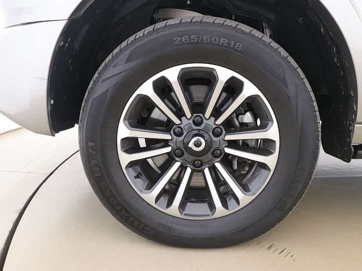 Фото 9 - Great Wall Shanhai Poer