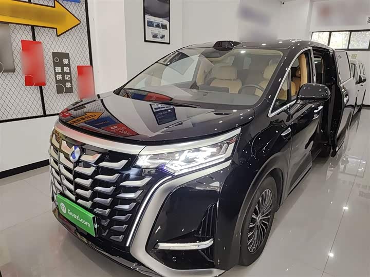 Фото 2 - Denza D9