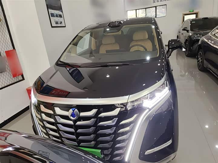 Фото 3 - Denza D9