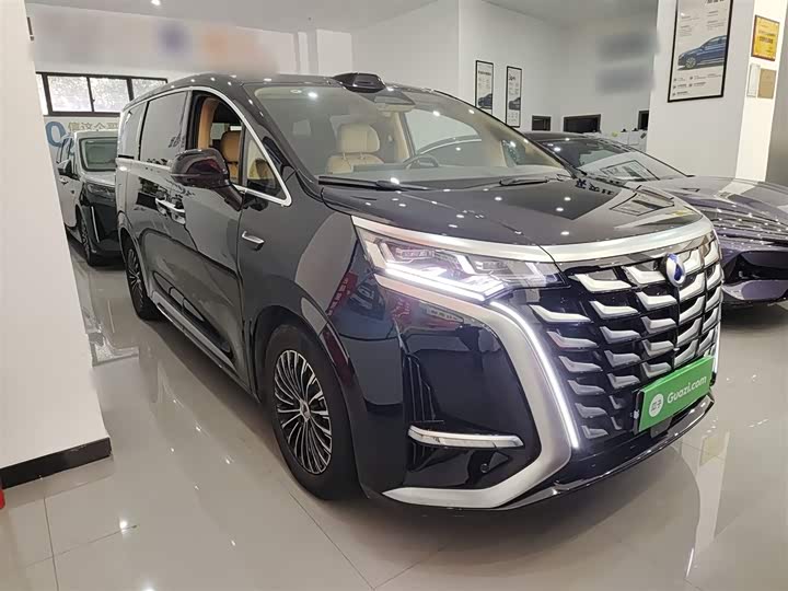 Фото 4 - Denza D9