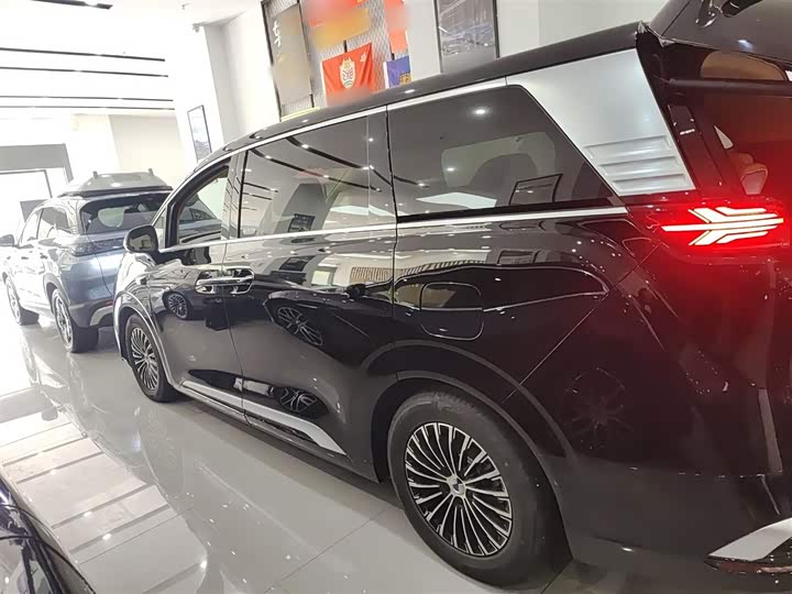 Фото 5 - Denza D9