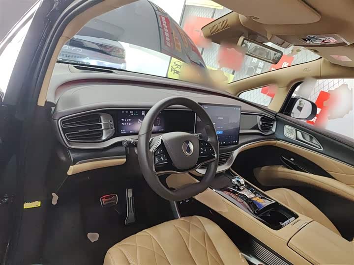 Фото 9 - Denza D9