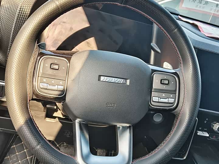 Фото 6 - Haval Dargo