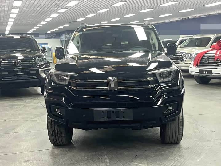 Фото 2 - Tank 400 Hybrid