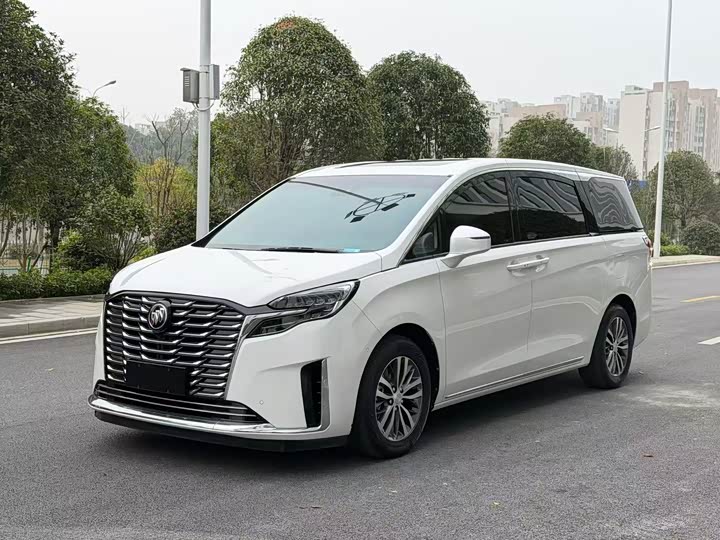 Фото 1 - Buick GL8 ES