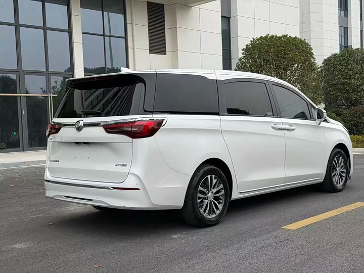 Фото 7 - Buick GL8 ES