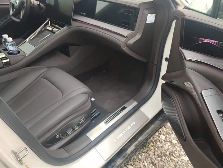 Фото 8 - Denza Z9