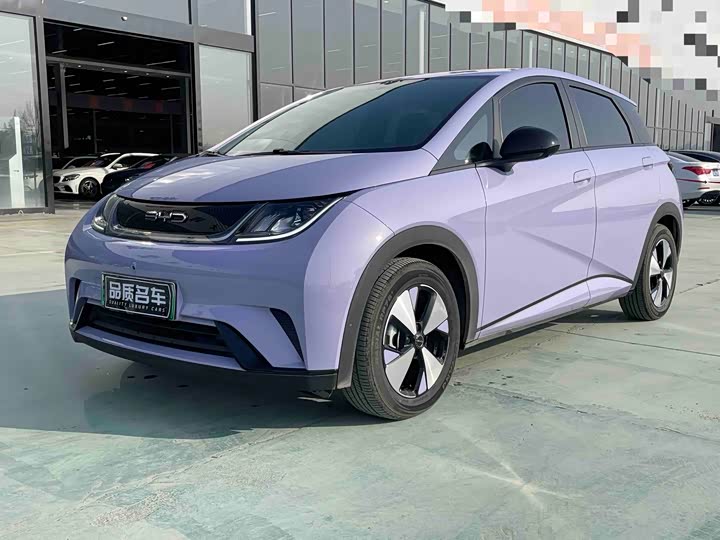 Фото 1 - BYD Dolphin