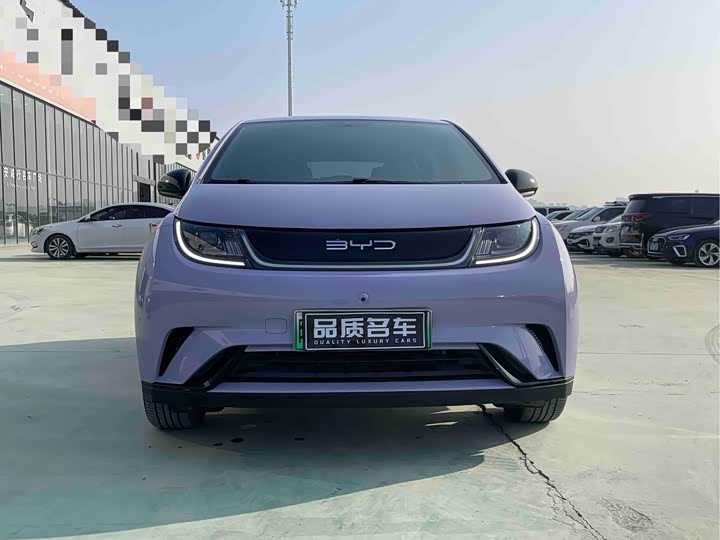 Фото 2 - BYD Dolphin