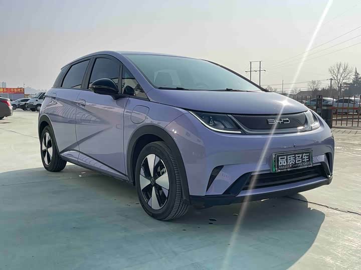 Фото 3 - BYD Dolphin