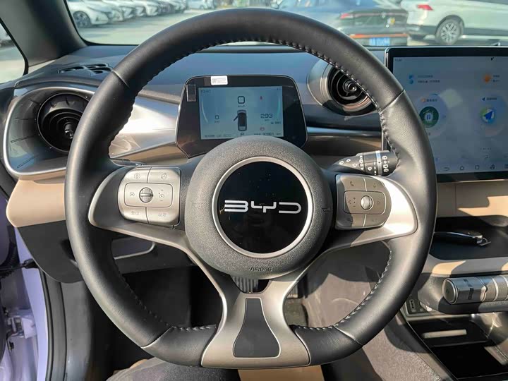 Фото 9 - BYD Dolphin