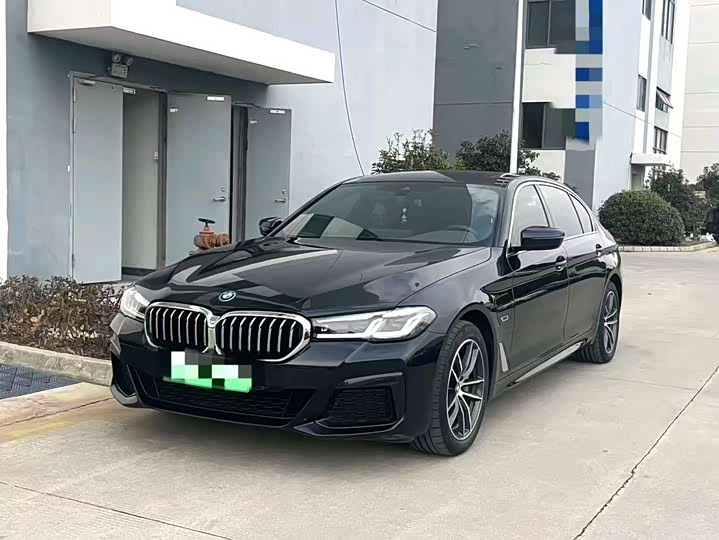 Фото 2 - BMW 5 Series Hybrid