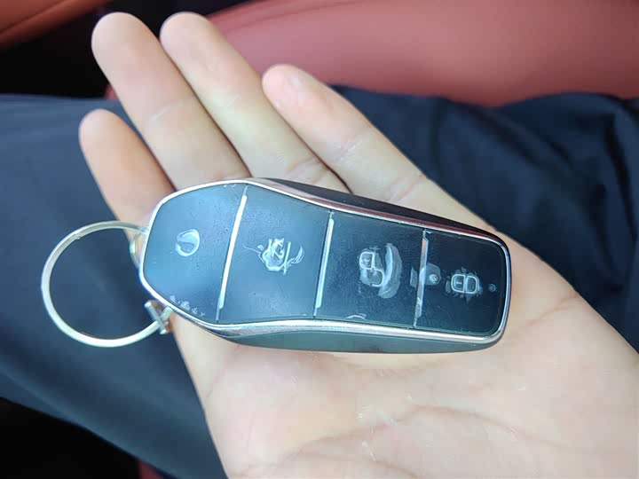 Фото 9 - BYD Tang L