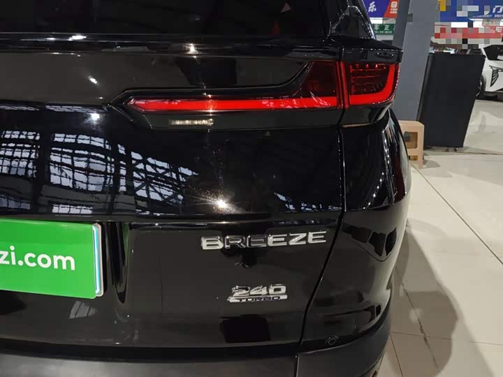 Фото 8 - Honda Breeze