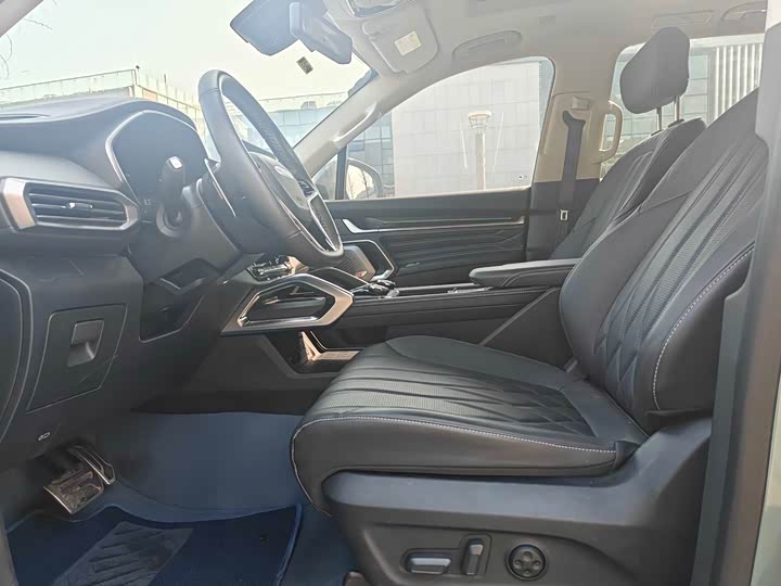 Фото 4 - Maxus Territory