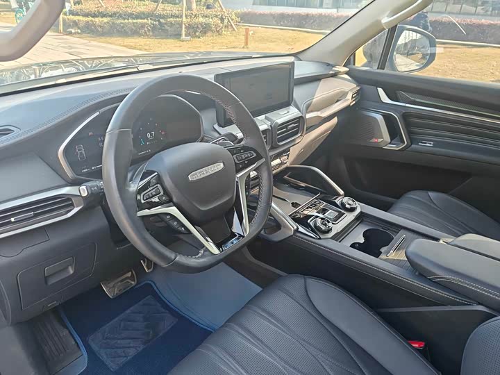 Фото 5 - Maxus Territory