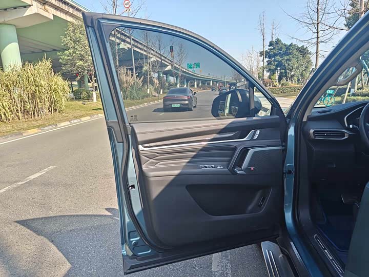 Фото 7 - Maxus Territory