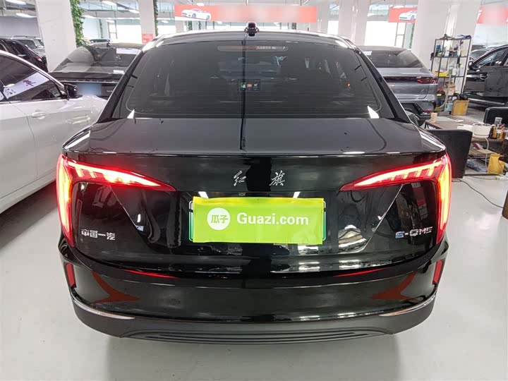 Фото 6 - Hongqi E-QM5