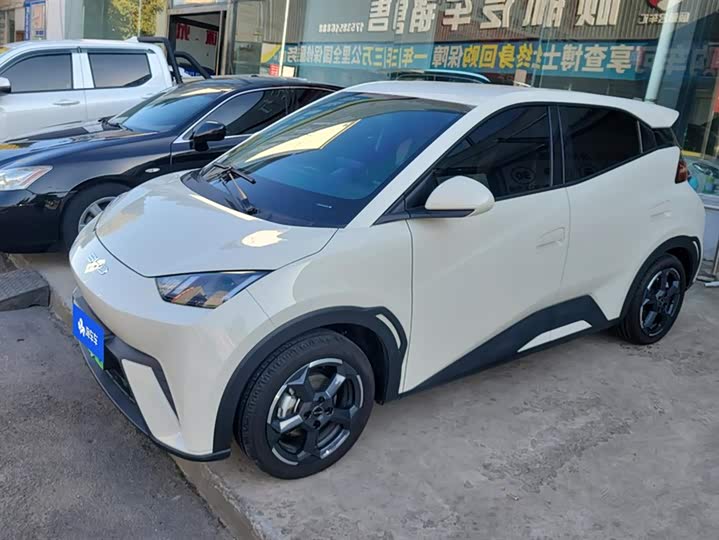 Фото 1 - BYD Seagull