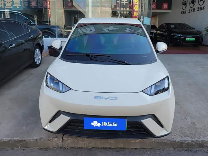 Фото 2 - BYD Seagull