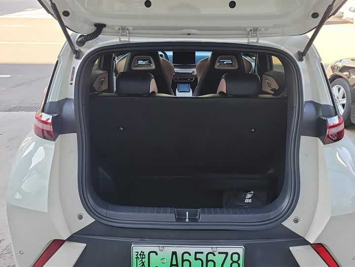 Фото 4 - BYD Seagull