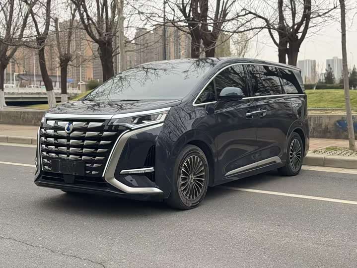 Фото 1 - Denza D9