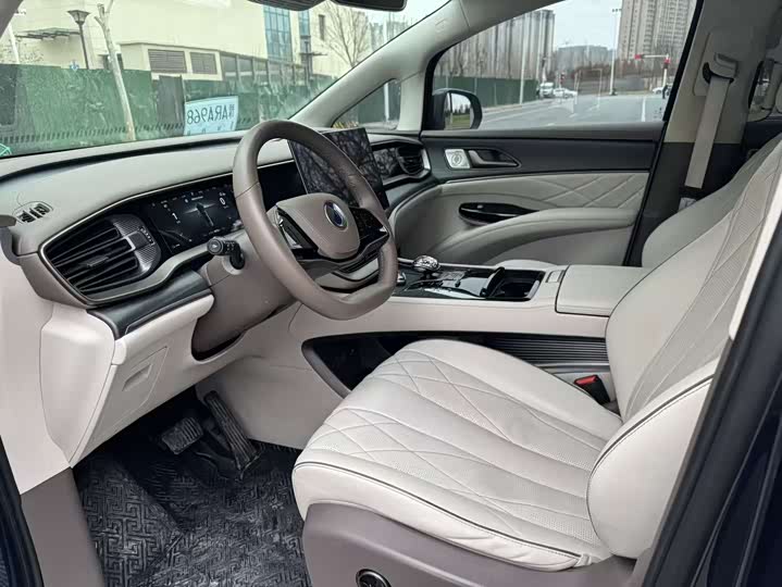 Фото 4 - Denza D9