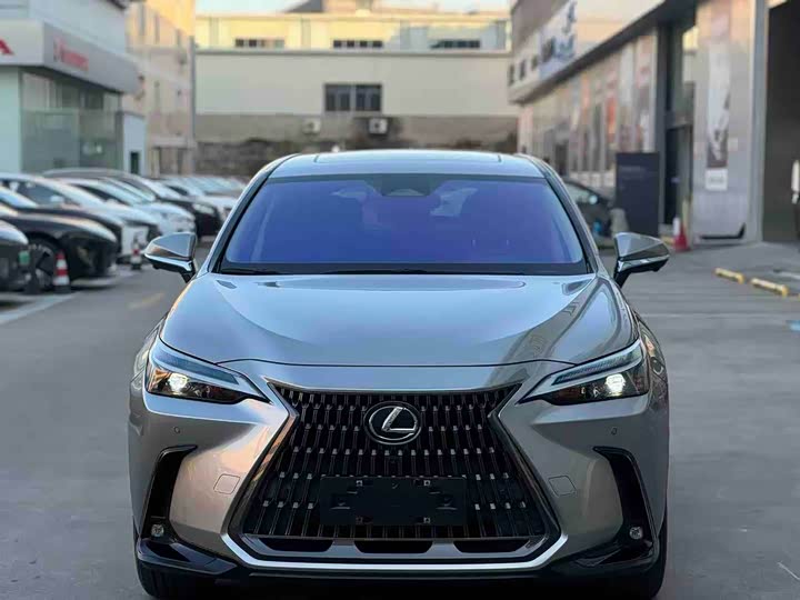 Фото 2 - Lexus NX