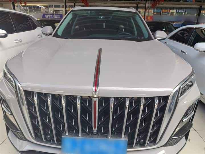 Фото 3 - Hongqi HS5